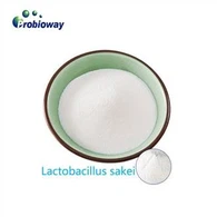 Lactobacillus Sakei brez glutena