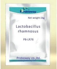 Lactobacillus Rhamnosus 500B
