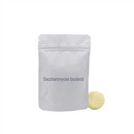 Stabilen Saccharomyces Boulardii
